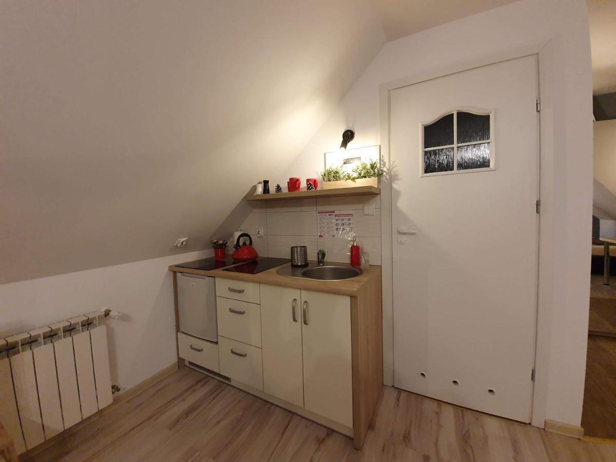 Apartament Jaskier Zakopane Dış mekan fotoğraf