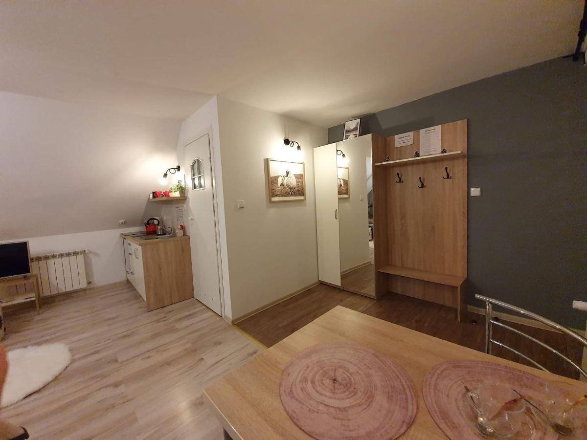 Apartament Jaskier Zakopane Dış mekan fotoğraf